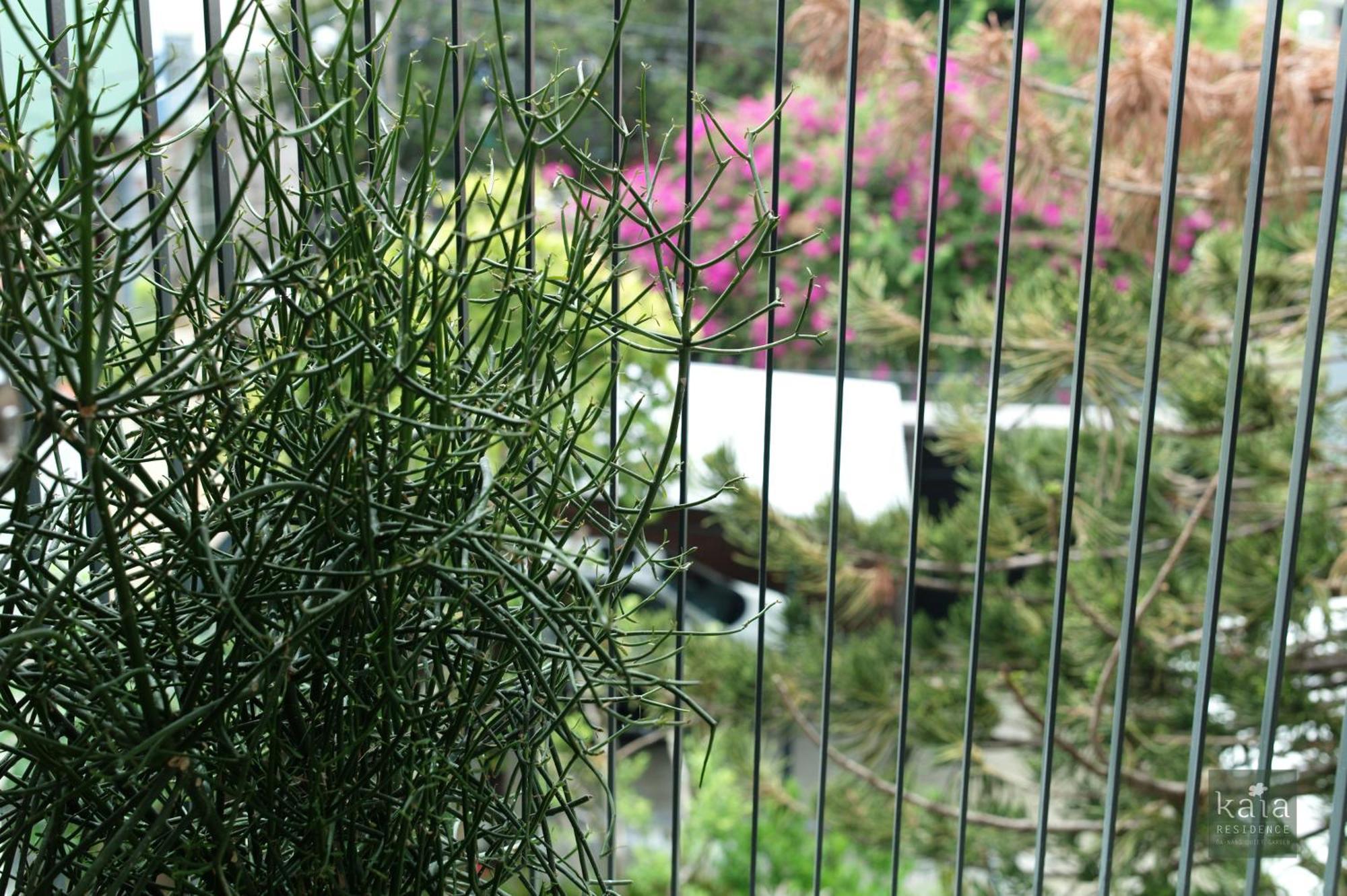 Kaia Quiet Garden 3* Da Nang