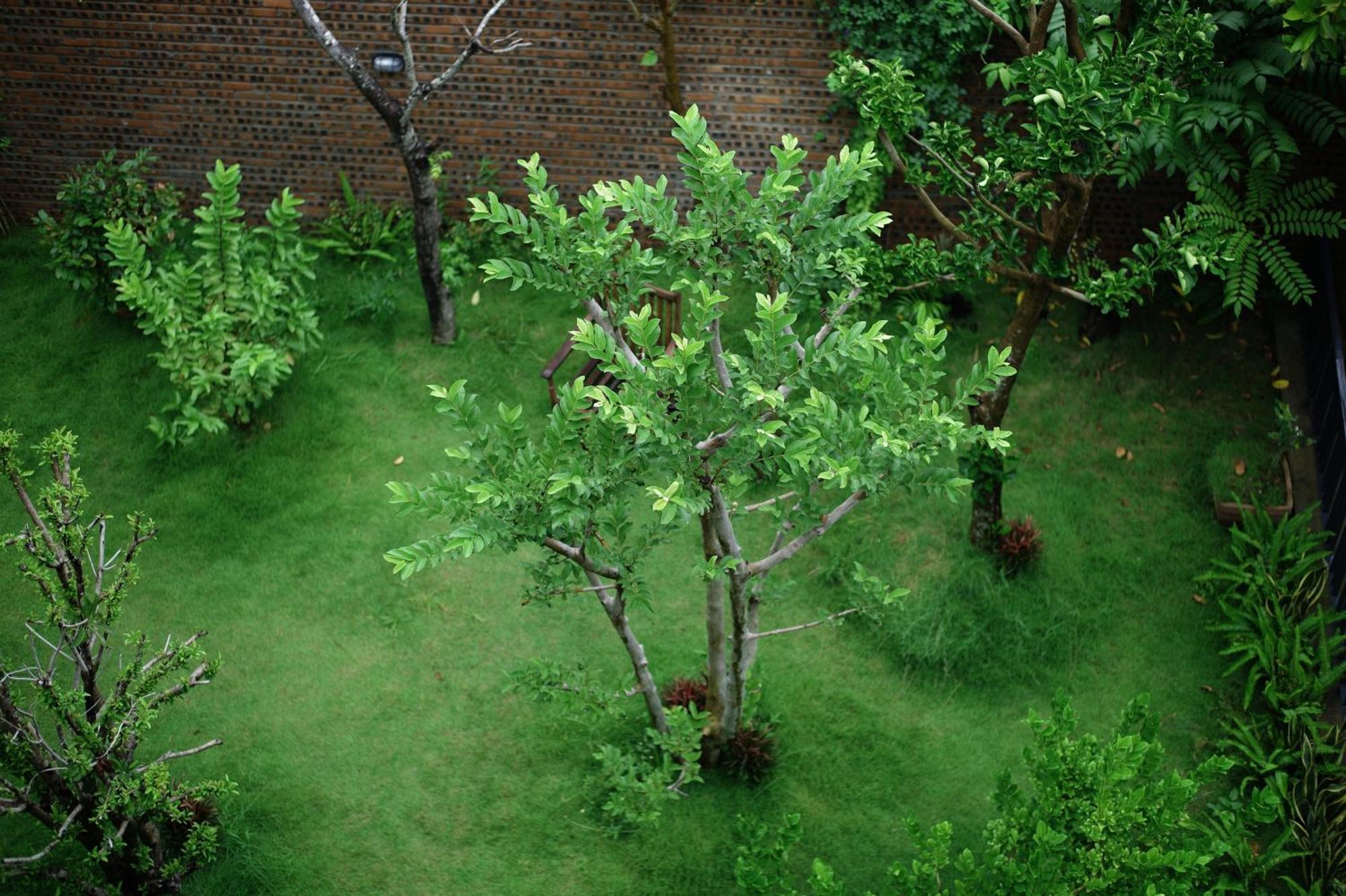 Aparthotel Kaia Quiet Garden 3*